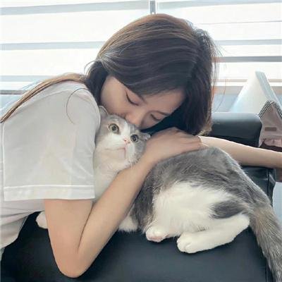 捍胃战士 在线观看